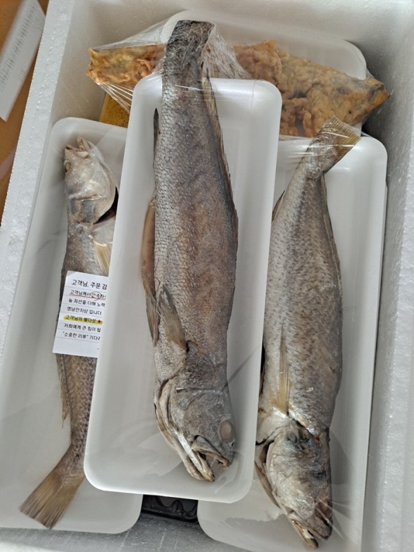 백운포상 생선 아이스박스 포장